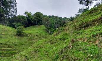 Imagem 7: Sítio em Quarta Linha - Angelina, SC