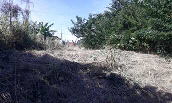 Imagem 5: Vende-se terreno na beira do Rio São Francisco