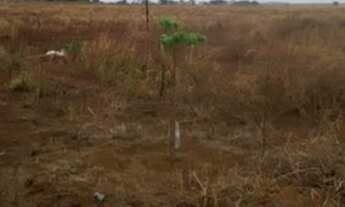 Imagem 3: Vendo lote escriturado