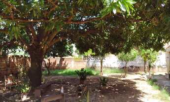 Imagem 6: Casa com 2 dormitórios à venda, 145 m² por R$ 232.000,00 - Jardim das Palmeiras - Pindoram