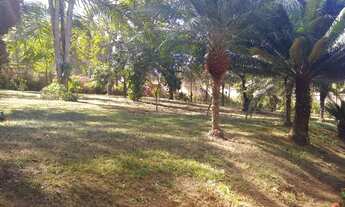 Imagem 6: Sitio/Chacara/Terreno 7.000m²