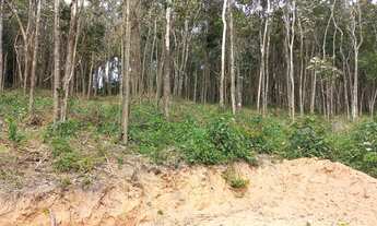 Imagem 2: 1.000m2 na Região de Ibiuna próximo a Piedade 1567NVD