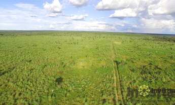 Imagem: Fazenda à venda, 2.130 Hectares em Colinas