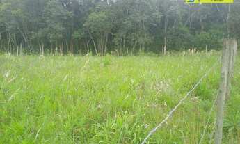 Imagem 6: Terrenos à venda, 250 m² cada, por R$ 45.000 - Carmo Messias - Ibiúna/SP