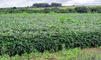 Imagem 3: Sítio 12 Hectares Capão Seco Paranoá !!! 1.000.000 !!!