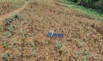 Imagem 8: Chácara à venda, 16429 m² por R$ 250.000,00 - Zona Rural - Contenda/PR