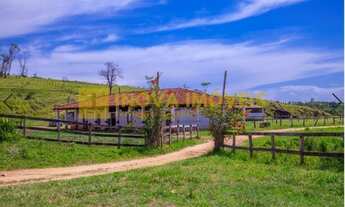 Imagem 7: Fazenda - Centro - Serra Negra