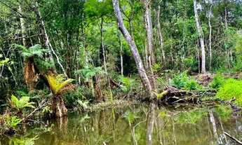 Imagem 2: Belíssimo sítio de 5.3 hectares em Urussanga
