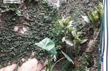 Imagem 8: Casa à venda, 130 m² por R$ 639.000,00 - Casa Verde - São Paulo/SP