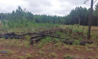 Imagem 2: Passo de Torres - Terreno Padrão - Sumaré II