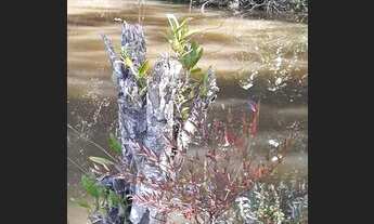 Imagem 5: Chácara para Venda em Suzano, Quinta Divisão, 6 dormitórios, 2 suítes, 2 banheiros, 5 vaga