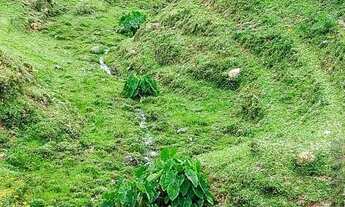 Imagem 5: Sítio em Quarta Linha - Angelina, SC