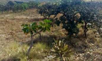 Imagem: Vendo ágio de chácara