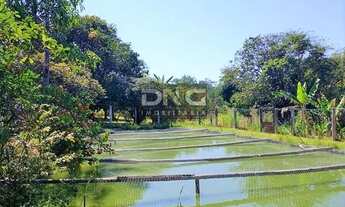 Imagem 3: Chácara pesque e pague, 2 hectares, Incra à venda por R$ 750.000 - Brazlândia/DF