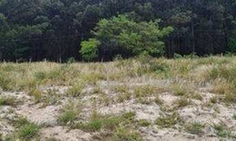 Imagem: Terreno à venda, 600 m² por R$ 390.000,00