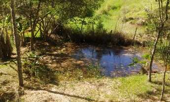 Imagem 6: MARAVILHOSA CHÁCARA COM ÓTIMA LOCALIZAÇÃO COM 48.000M²