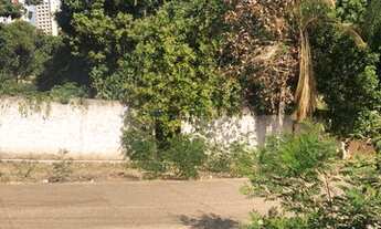 Imagem 5: Terreno No Bairro Quilombo