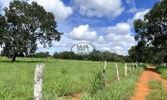 Imagem: Fazenda com dupla aptidão e ótimo preço