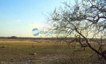 Imagem 3: Terreno Residencial para locação, Distrito Industrial, Campinas -