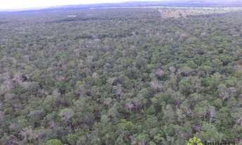 Imagem 2: Fazenda de 560 Hectares em Cristalândia/TO