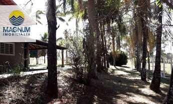 Imagem 2: Sítio-(PORTEIRA FECHADA), com: 3,19 ALQUEIRES, c/ Casa Sede: 5 dorm. Piscina, à venda, =77