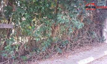 Imagem 6: Terreno residencial à venda, Granja Viana, Cotia