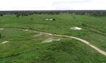 Imagem 5: Fazenda poconé Rod. Porto cercado