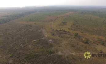 Imagem 2: Fazenda à venda 1.220 Hectares em Lagoa da Confusão/TO