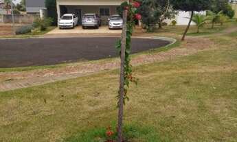 Imagem: Ribeirão Preto - Terreno / Lote - Bonfim