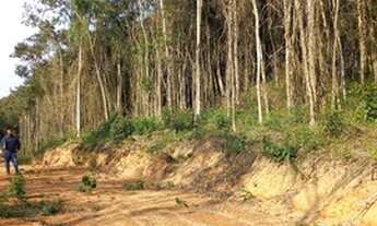 Imagem 4: Terreno com ótima topografia em Ibiuna 13D3NVD