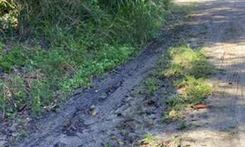 Imagem 4: Lote de 375 metros nos Cajueiros - Itaipuaçu!!!