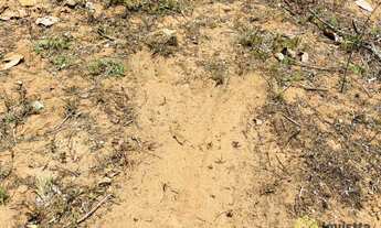 Imagem 2: Fazenda à venda, 2.172 Hectares (448 Alqueires) em Lizarda/TO