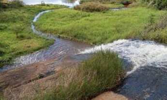 Imagem: 32 Lote/Terreno para venda tem 2500 metros