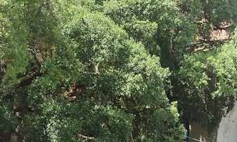 Imagem 5: Rio de Janeiro - Apartamento Padrão - Humaitá