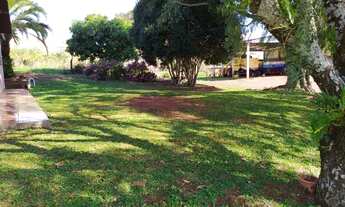 Imagem 7: 10.5 alq. Com 9.3 mecanizado em Sta Tereza