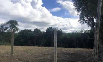 Imagem 3: Chácara 4500metros quadrados - Porto Dourado