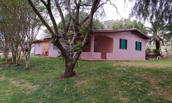 Imagem 5: 10.5 alq. Com 9.3 mecanizado em Sta Tereza