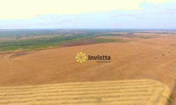 Imagem 7: Fazenda plantando em Paraíso do Tocantins/TO