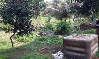 Imagem 3: Sítio Chácara com venda por R$165.000