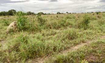 Imagem 2: Fazenda à venda, 400 Hectares em Miracema do Tocantins/TO