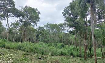 Imagem 4: Aproveita em quanto da tempo ,1.000m2 em Ibiuna 4D5NVD