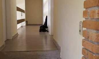 Imagem 6: Casa residencial à venda, Lago dos Cisnes, Jandira - CA0258