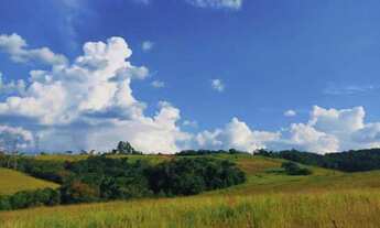 Imagem 4: Terreno de até 1000m² - Pagamento Facilitado - Aceitamos seu Veículo!