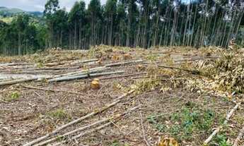 Imagem 2: Venha garanti seu lote entrada facilitada 2500 metros quadrados em Centro - Salesópolis