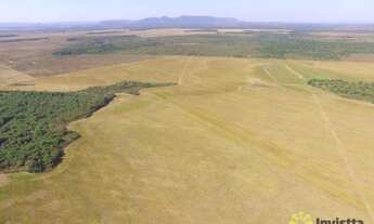 Imagem 5: Fazenda à venda, 976 Hectares em Santa Rita do Tocantins/TO