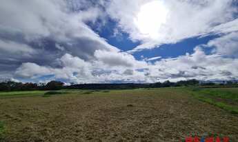 Imagem 6: Mandarim Chapada Terreno com 360 metros