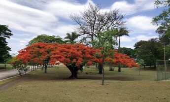 Imagem 3: Terreno à venda, 2007 m² por R$ 1.150.000,00 - Jardim Figueira - Indaiatuba/SP