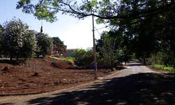 Imagem 3: Excelente terreno a venda próximo a Saul Elkind