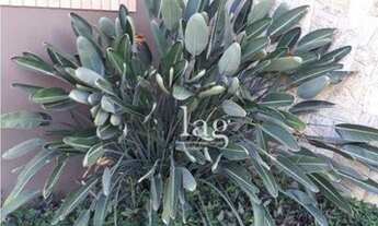 Imagem 3: Casa com 3 dormitórios à venda, 400 m² por R$ 2.200.000 - Condomínio City Castelo - Itu/SP