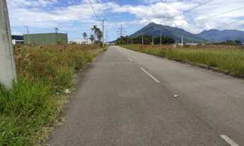 Imagem 3: TERRENO INDUSTRIAL AS MARGENS DA BR 101 - TE604